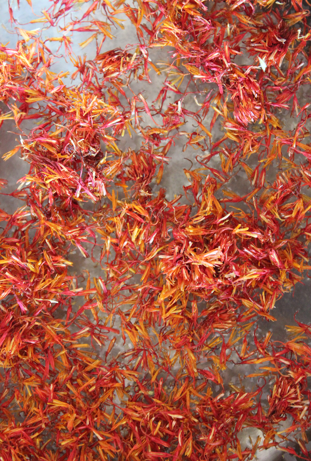 flower threads of the safflower