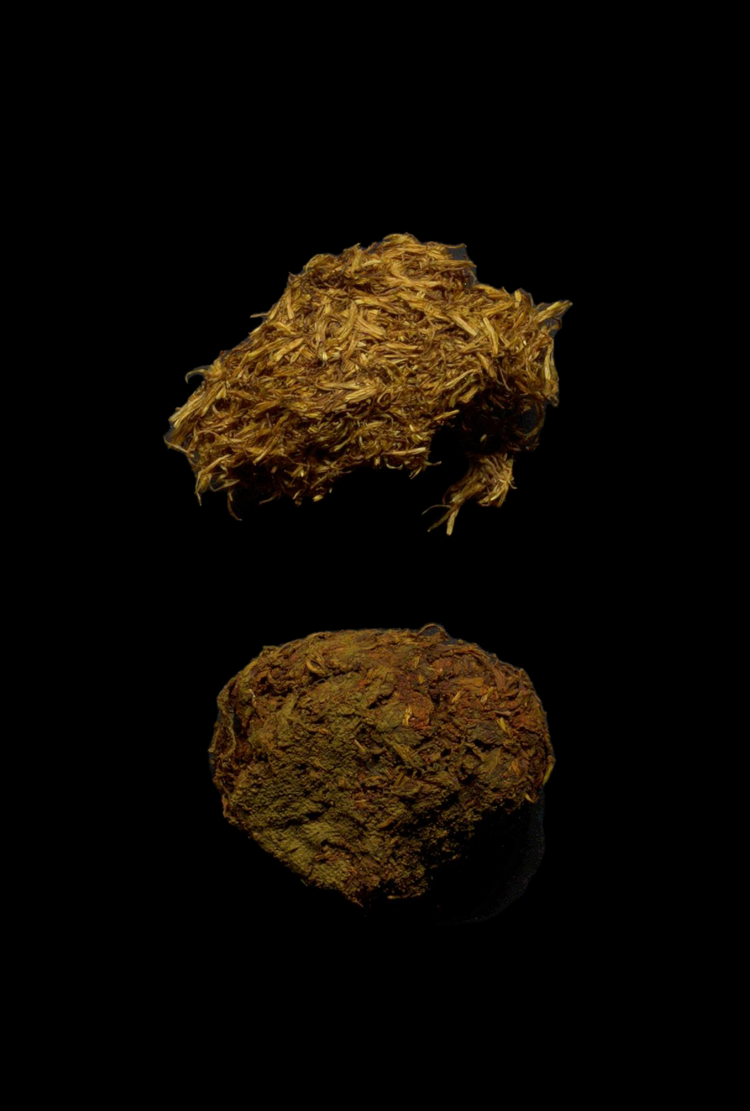 press cake of saffower and tagetes