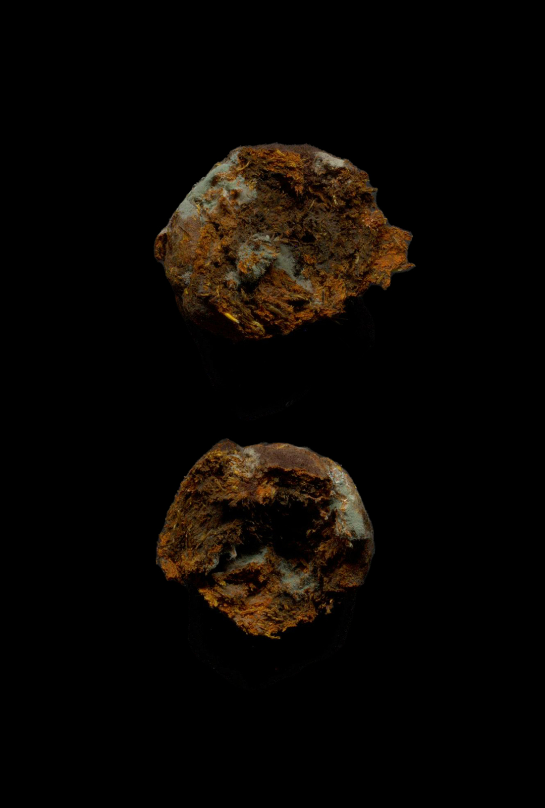 moldy tagetes press cake