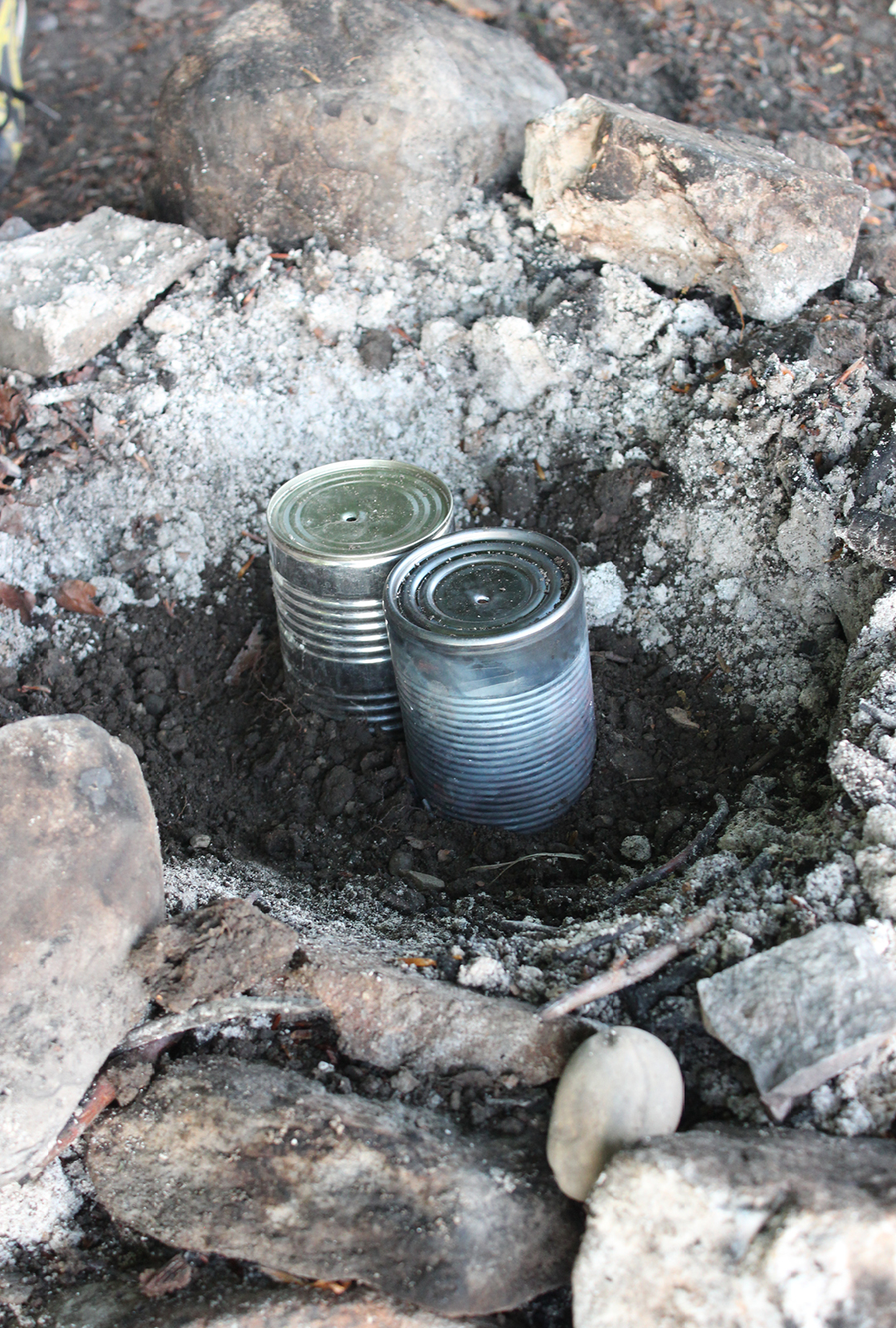 carbonized olive seeds in cans