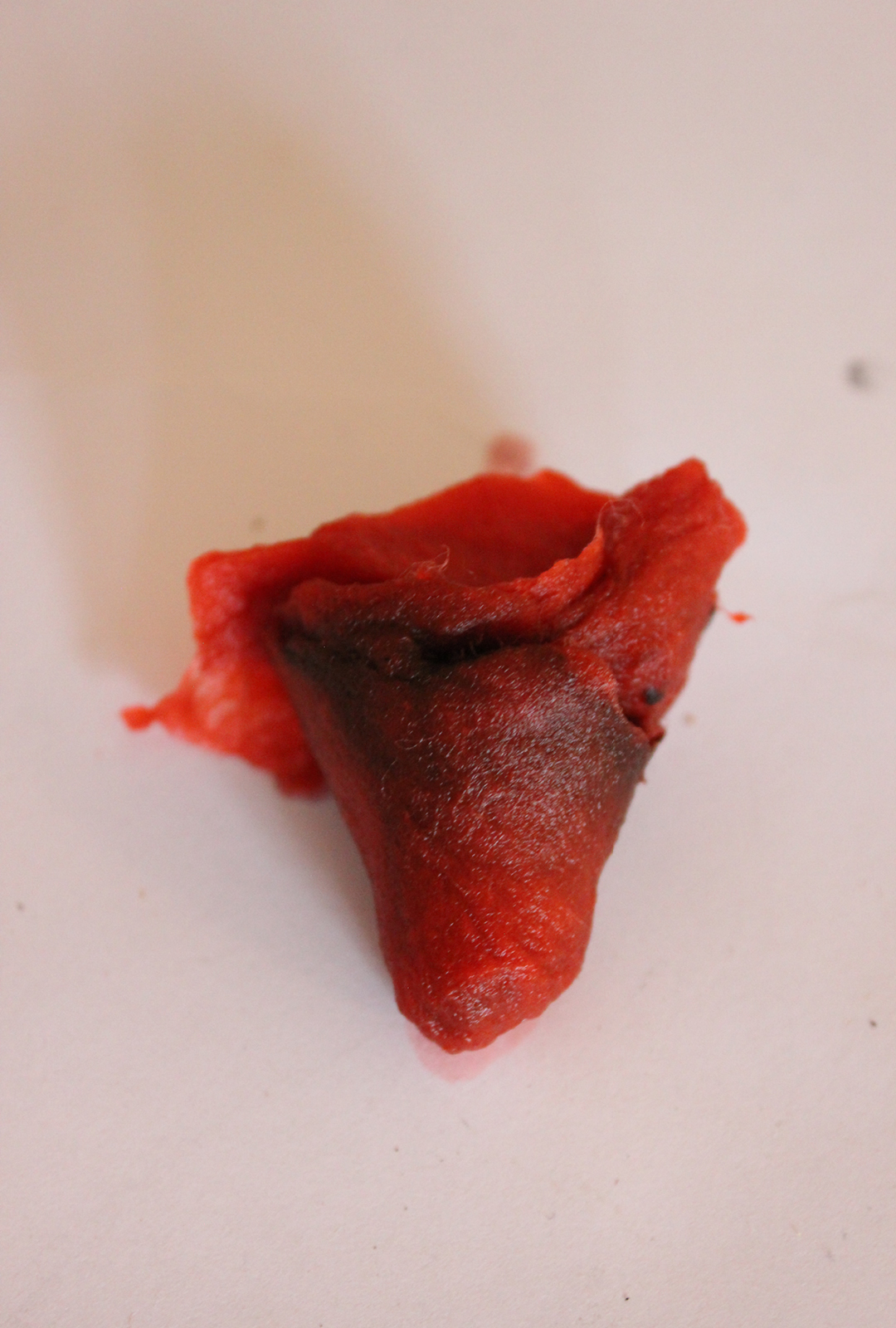 cotton filter with dirt from the madder root