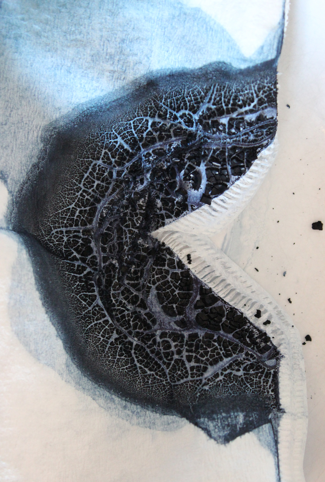 red cabbage pigment