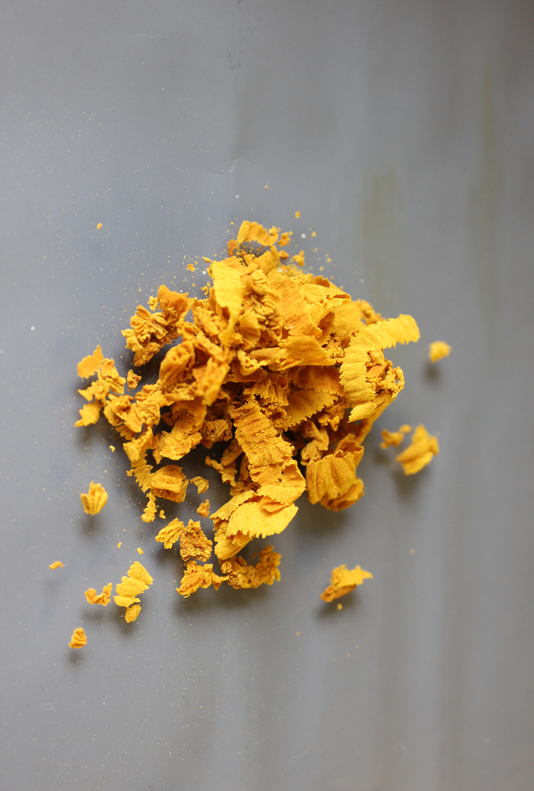dandelion pigment