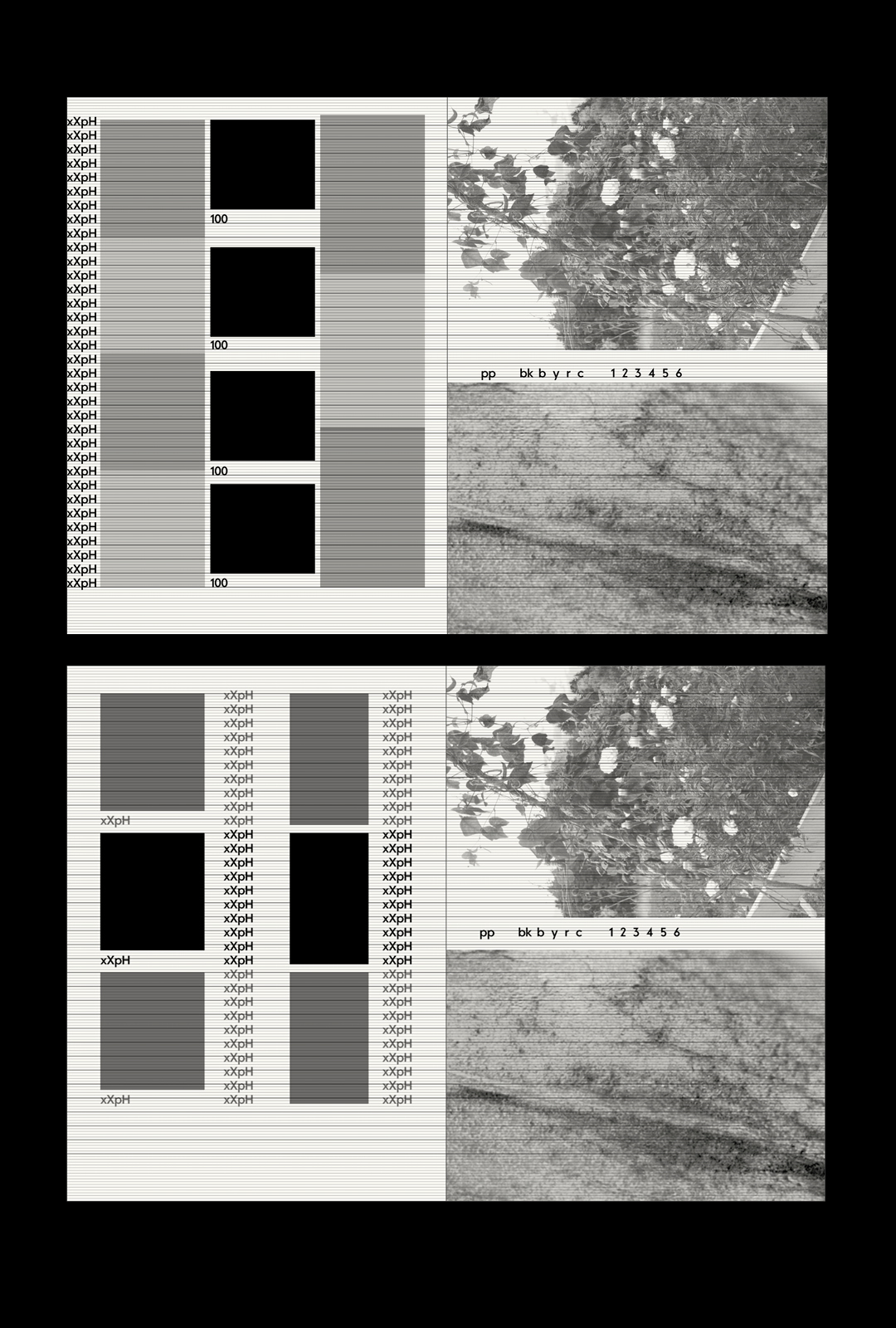 setting the baseline grid based on x-height