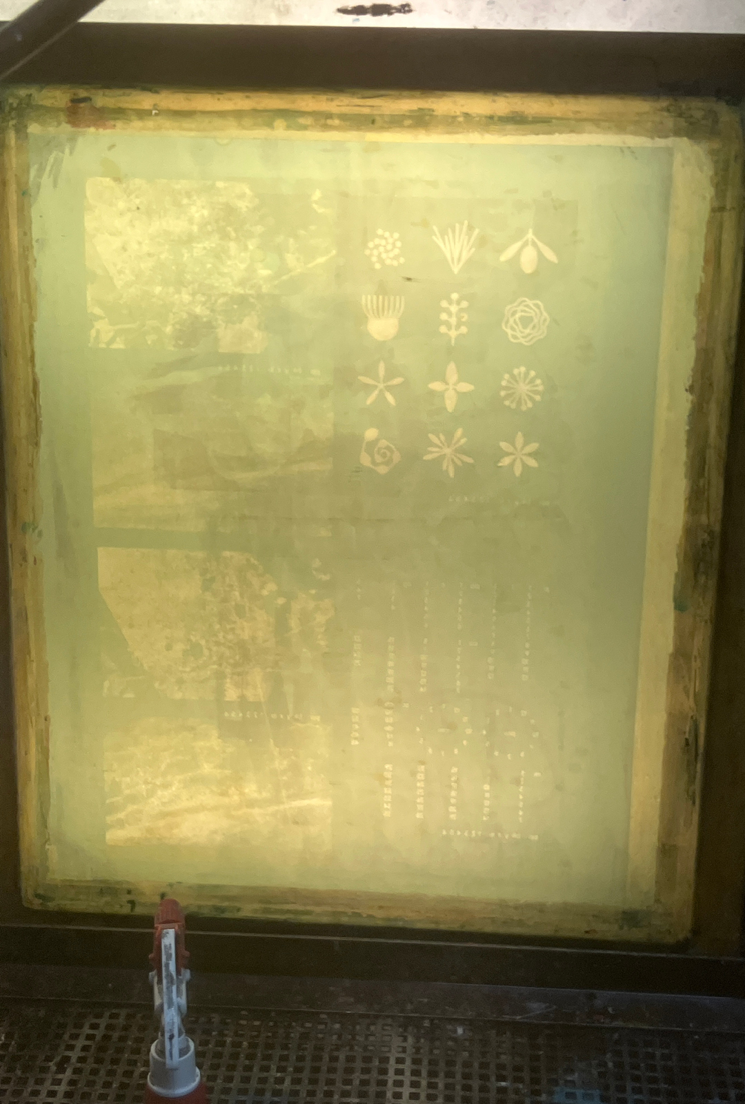 exposed screen