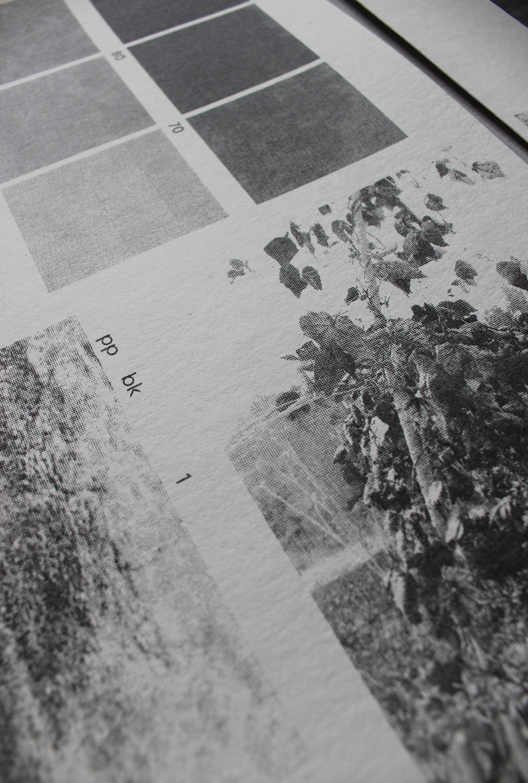 print detail ppbk1