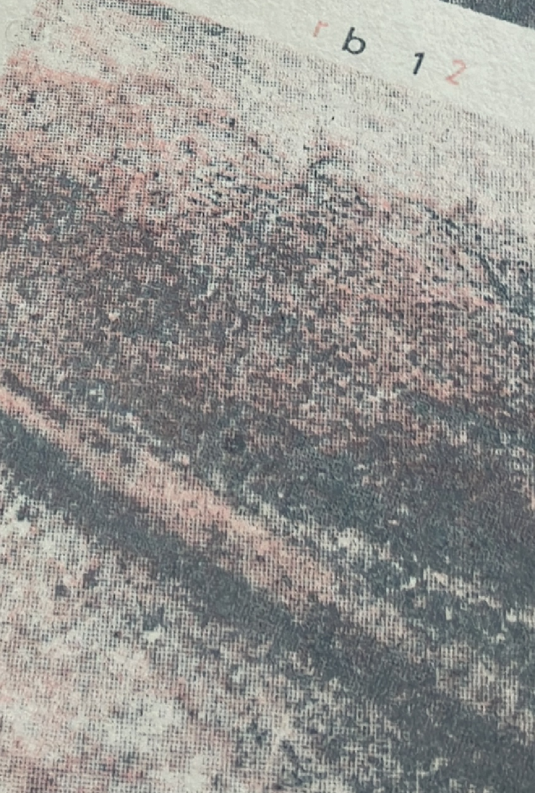 two color print