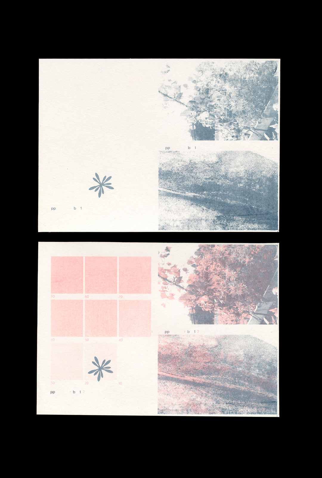 first and second print run