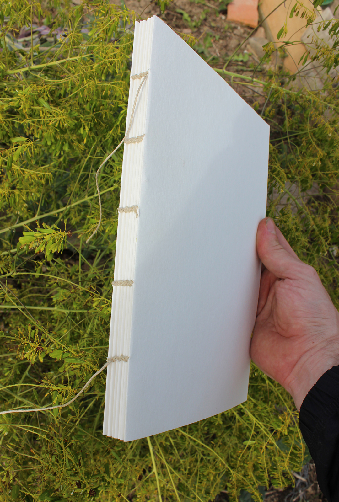 test bind